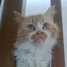 Barbara Cossettini - @barbaracossettini - TikTok