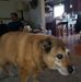 Barbara Jorgensen Coston - Facebook