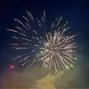 Barbara Cottorone-Fellows - @barbara.cottorone - TikTok