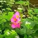 Barbara Katrine - Facebook
