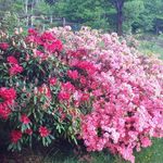 Barbara Cottini - @b47140405 - Instagram