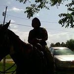 Barbara Cotton - @fidisity - Instagram