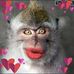 Barb Cournoyer - Facebook
