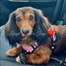 Barbara Courson - Facebook