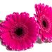 Barbara Courter - Facebook