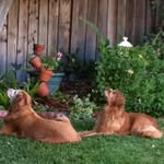 Barbara Coverdale - @barbaracoverdale - Instagram