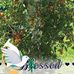 Barbara Crabb - Facebook
