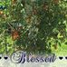 Barbara Crabb - Facebook