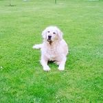 Barbara Crabb - @barbara.crabb.75 - Instagram