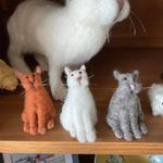 Barbara Craft Fox - @barbaracraftfox - Instagram