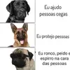 user018365 - @barbara_craft - TikTok