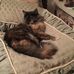 Barbara Crain - Facebook