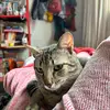 Bárbara Crosara - @brbara.crosara - TikTok