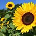 Barb Culp - Facebook