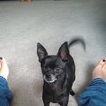Barb Culpepper - @2409.barbara - Instagram