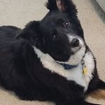 Barbara Culpepper - @thorintap - Instagram