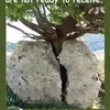 Barbara L Culpepper - @barbara.l.culpepp - TikTok