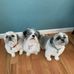 Barbara Currence - Facebook