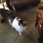Barbara - @barbara.dangelo6244 - Instagram