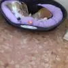 barbaradangelo712 - @barbaradangelo712 - TikTok