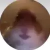 Barbara Daniel - @barbaradaniel12 - TikTok