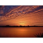 Barbara Davidson - @barbara.davidson.921677 - Instagram