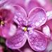 Barbara Davidson - Facebook