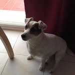 Barbara Davison - @barbara.davison.526 - Instagram