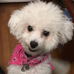 Barbara Davison - @barbaradavison444 - Instagram