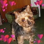 Barbara Davison - @barbara.davison.549 - Instagram