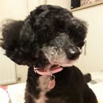 Barbara Davison - @barbara.davison.129357 - Instagram
