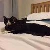 barbaradavison1 - @barbaradavison1 - TikTok