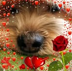 Barbara Deardorff - Facebook