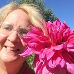 Barbara Deegan - @conn8dartist - Instagram