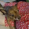 Barbara Delaney.     Beepsy - @barbara.delaney8 - TikTok