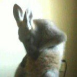 Barbara Delaney Aswegan - @baswegan - Instagram