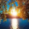 barbaradelaney348 - @barbaradelaney348 - TikTok