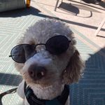 Barbara Deming - @mcdeming3701 - Instagram