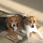 Barbara DeVille - Facebook
