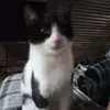 Barbara Evol - @barbara.evol - TikTok