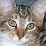 Barbara De Young - @bedey33 - Instagram