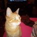 Barbara Dickens - Facebook