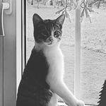 J.Leuenberger - @barbaradietschi73 - Instagram