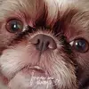 barbaradiette - @barbaradiette - TikTok