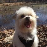 Barbara Dillard - @dillard9891 - Instagram