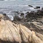 Barbara Diller-Young - @b.diller.young - Instagram