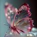 Barbara A. Dillon - Facebook