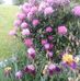 Barbara Dimmick - Facebook