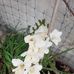 Barbara Dimmick Proctor - Facebook