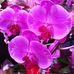 Barbara Diener - Facebook